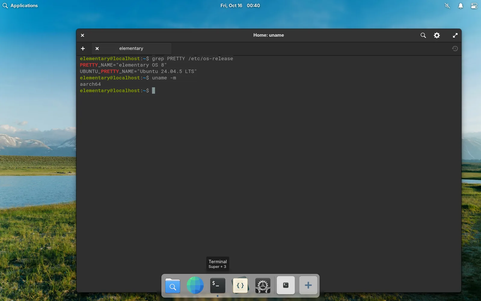 Terminal: it really is elementary OS, on ARM64